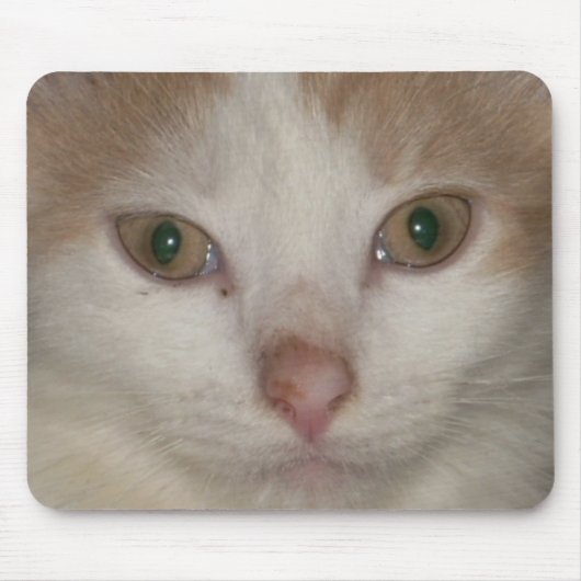 Kätzchen Gesicht 1 Mousepad (Vorne)