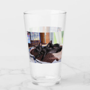 Kätzchen Glas