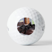 Kätzchen Golfball (Vorderseite)