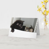 Kätzchen-Grußkarte entgehen Karte (Gelbe Blume)