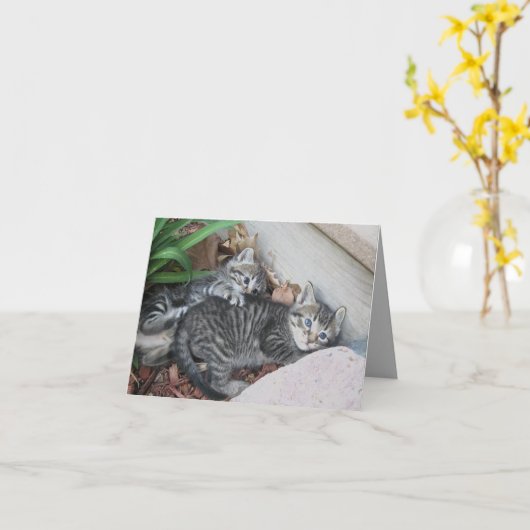 Kätzchen Hinweis Karte (Gelbe Blume)