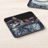 Kätzchen im Behälter Getränkeuntersetzer (Linke Seite)