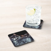 Kätzchen im Behälter Getränkeuntersetzer (Rechte Seite)