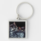 Kätzchen im Behälter Schlüsselanhänger (Vorne)