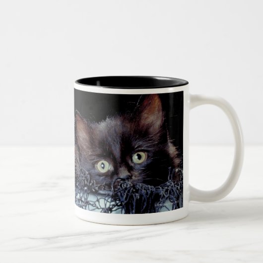 Kätzchen im Behälter Zweifarbige Tasse (Rechts)