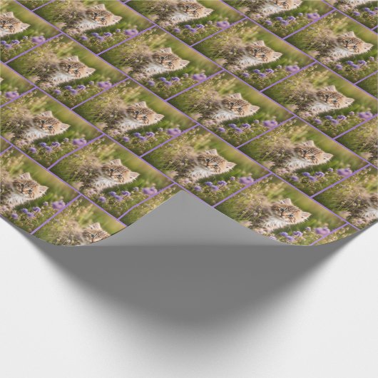 Kätzchen im Feld Wildblume Geschenkpapier (Ecke)