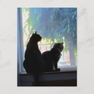 Kätzchen im Fensterrahmen Postkarte