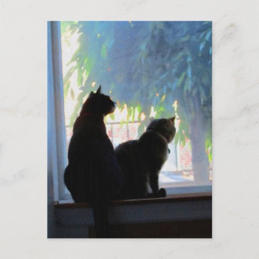 Kätzchen im Fensterrahmen Postkarte (Vorderseite)