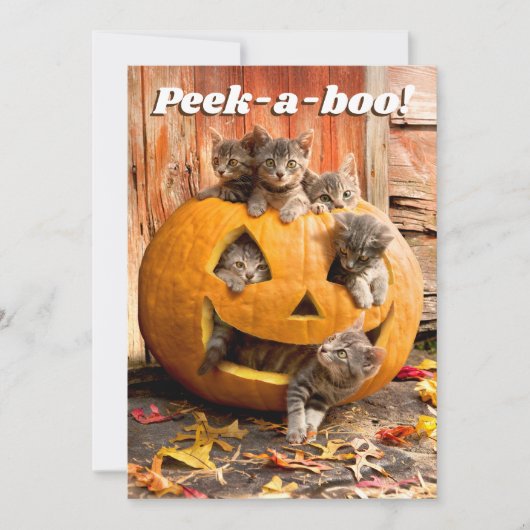 Kätzchen im Jack-o-Lantern Einladung (Vorderseite)
