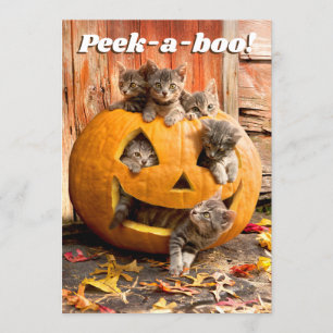 Kätzchen im Jack-o-Lantern Einladung