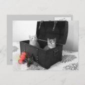 Kätzchen im Kofferraum mit Blume auf Postkarte (Vorne/Hinten)