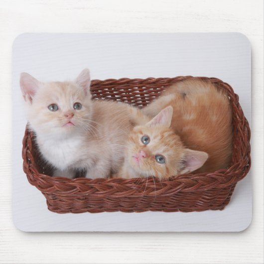 Kätzchen im Korb Mousepad (Vorne)