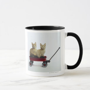 Kätzchen im Lastwagen Tasse