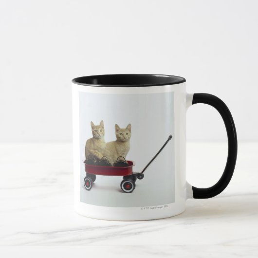 Kätzchen im Lastwagen Tasse (Rechts)