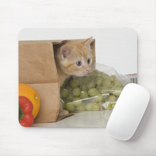 Kätzchen im Lebensmittelbeutel Mousepad (Mit Mouse)