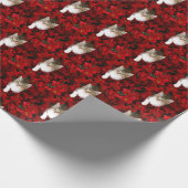 Kätzchen im Poinsettia-Weihnachten Geschenkpapier (Ecke)