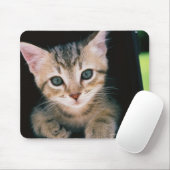 Kätzchen im Postfach Mousepad (Mit Mouse)