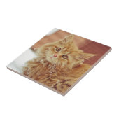 Kätzchen im Schnee Fliese (Seite)