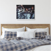 Kätzchen in Behältnissen Leinwanddruck (Insitu (Schlafzimmer))
