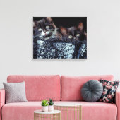 Kätzchen in Behältnissen Leinwanddruck (Insitu (Wohnzimmer))