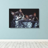 Kätzchen in Behältnissen Leinwanddruck (Insitu (Holzboden))