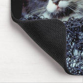 Kätzchen in Behältnissen Mousepad (Ecke)