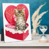 Kätzchen in Candy Box Fotoplatte (Seite)