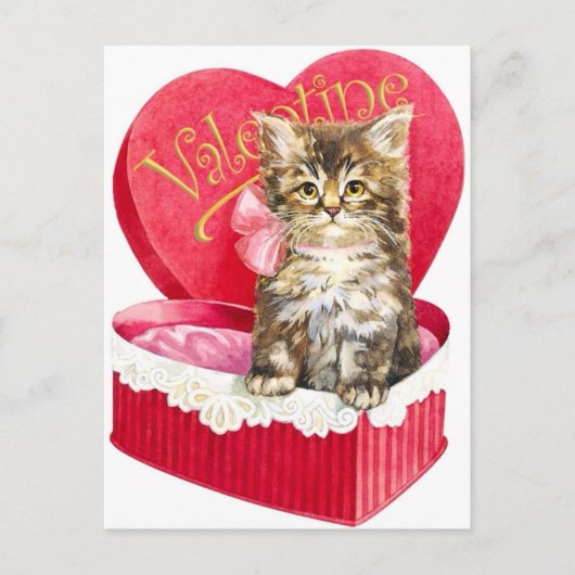 Kätzchen in Candy Box Postkarte (Vorderseite)