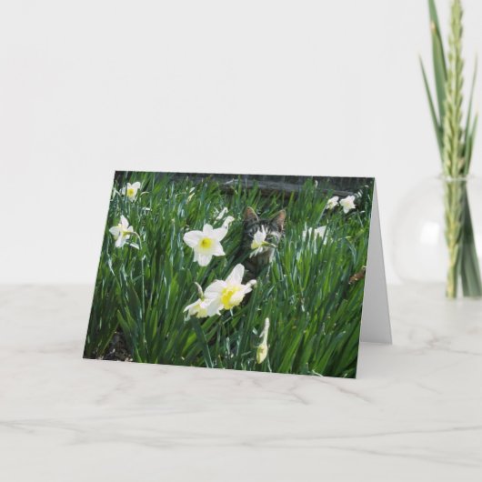 KÄTZCHEN IN DEN BLUMEN FEIERTAGSKARTE (Vorderseite)
