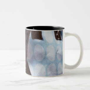 Kätzchen in der Handtasche Zweifarbige Tasse