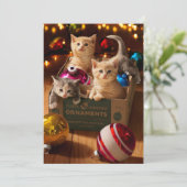 Kätzchen in der Schachtel Einladung (Stehend Vorderseite)