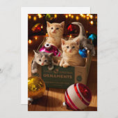 Kätzchen in der Schachtel Einladung (Vorne/Hinten)