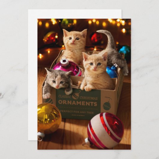 Kätzchen in der Schachtel Einladung (Vorne/Hinten)