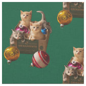 Kätzchen in der Schachtel Stoff (Nahaufnahme)