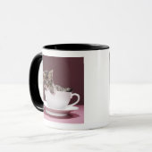 Kätzchen in der Tasse und Untertasse (Vorderseite Links)