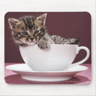 Kätzchen in der Tasse und Untertasse Mousepad
