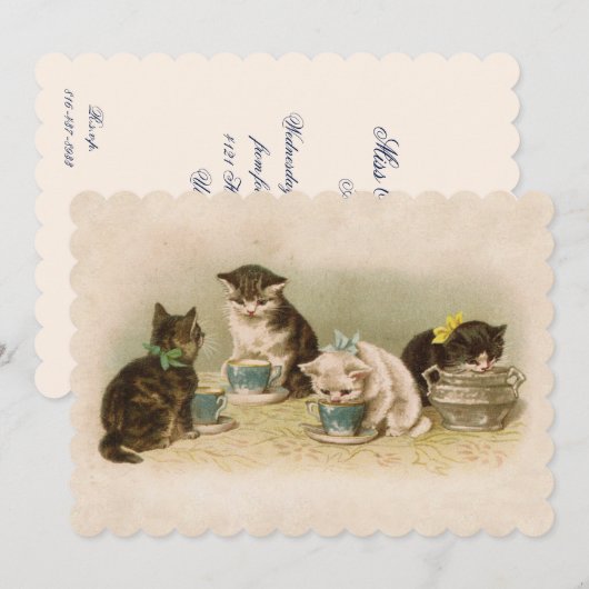 Kätzchen in der Tea-Party Einladung (Vorne/Hinten)