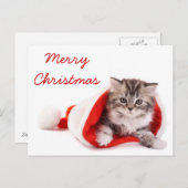 Kätzchen in der Weihnachtsmannmütze Feiertagspostkarte (Vorne/Hinten)