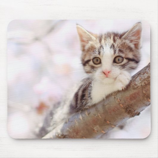 Kätzchen in einem Baum Mousepad (Vorne)