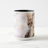 Kätzchen in einem Baum Tasse (Zentrum)