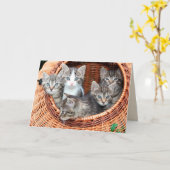 Kätzchen in einem Korb mit Grußkarte Karte (Gelbe Blume)