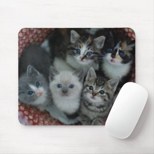 Kätzchen in einem Korb Mousepad (Mit Mouse)