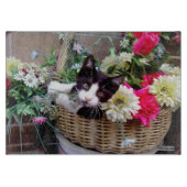 Kätzchen in einem Korb Schneidebrett (Vorderseite)