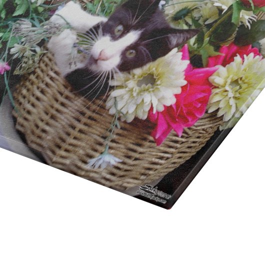 Kätzchen in einem Korb Schneidebrett (Ecke)