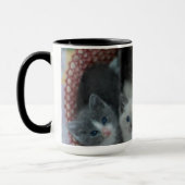 Kätzchen in einem Korb Tasse (Links)