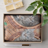 Kätzchen in einem Korbgewebpapier Seidenpapier (Geschenk)