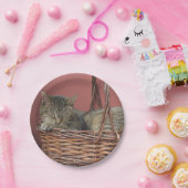 Kätzchen in einem Korbpapier Pappteller (Party)