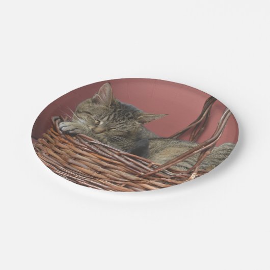 Kätzchen in einem Korbpapier Pappteller (Schrägansicht)