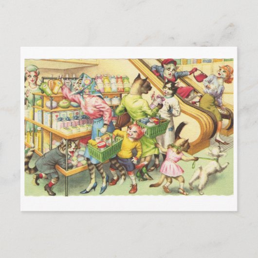 Kätzchen in einem Lebensmittelgeschäft, Katzen in Postkarte (Vorderseite)
