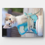 Kätzchen in einem Schuh Fotoplatte (Vorderseite)